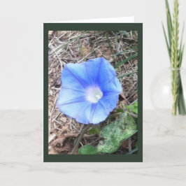 New Blue Morning Glory Blank Karte