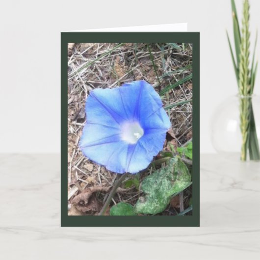 New Blue Morning Glory Blank Karte (Vorderseite)