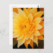 New BOHO Yellow Dahlia Postkarte (Vorne/Hinten)