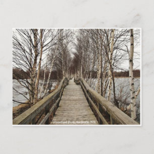 New Brunswick, Canada Postcard Postkarte