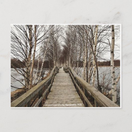 New Brunswick, Canada Postcard Postkarte (Vorderseite)