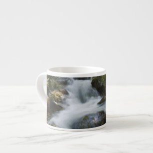 New Brunswick, Kanada. Dickson Falls im Fundy Espressotasse