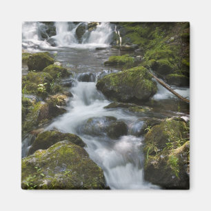 New Brunswick, Kanada. Dickson Falls im Fundy Magnet