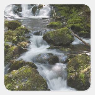 New Brunswick, Kanada. Dickson Falls im Fundy Quadratischer Aufkleber