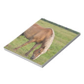New Brunswick, Kanada. Pferd im Feld. Notizblock (Rotiert)