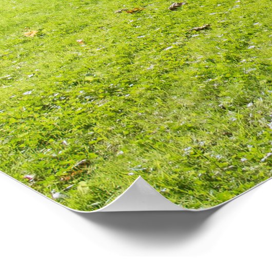 New Castle Poster (Ecke)