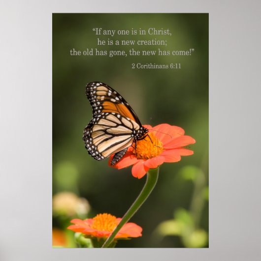 New Creation Poster (Vorne)