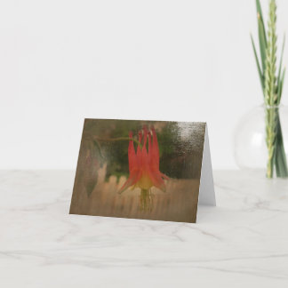 New Day Gardens Notecard CAN Columbine A Karte