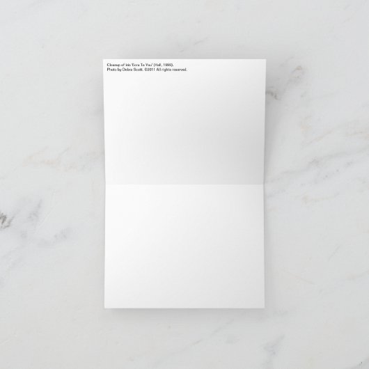 New Day Gardens Notecard- Iris 'Ecru To You' Karte (Innenseite)