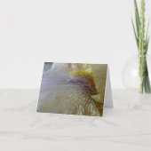 New Day Gardens Notecard- Iris 'Ecru To You' Karte (Vorderseite)