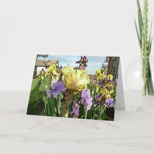 New Day Gardens Notecard-Iris 'Edith Wolford' W Karte (Vorderseite)