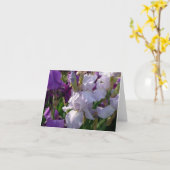 New Day Gardens Notecard-Iris 'Eelanor's Pride' Karte (Gelbe Blume)