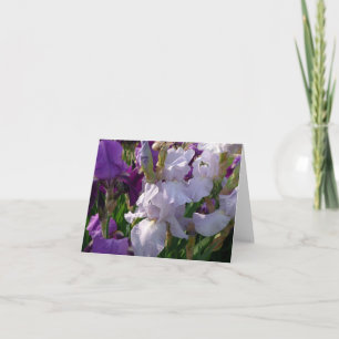 New Day Gardens Notecard-Iris 'Eelanor's Pride' Karte