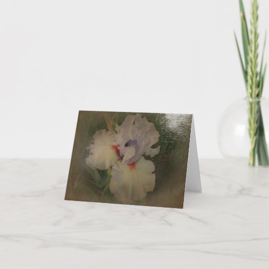 New Day Gardens Notecard- Iris 'Friendly Fire' Karte (Vorderseite)