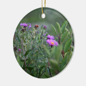 New England Aster Blume Ornament (Links)