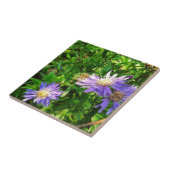 New England Asters Fliese (Seite)