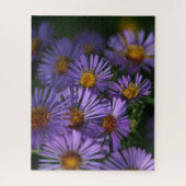New England Asters Puzzle (Vertikal)