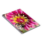 New England Blume Foto Notizblock (Rechte Seite)