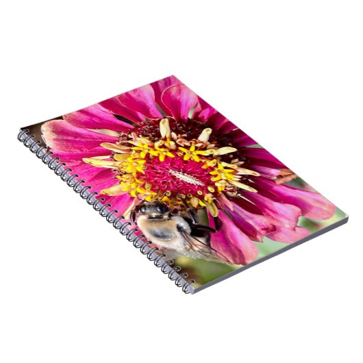 New England Blume Foto Notizblock (Rechte Seite)