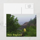 New England Dreamer Postcard Postkarte (Vorne/Hinten)