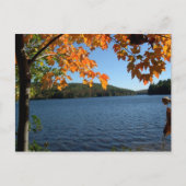 New England Fall Lake Postkarten (Vorderseite)