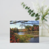 New England Fall Pond Postkarten (Stehend Vorderseite)
