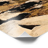 New England farbenfrohe Landschaft, Herbst, Fotodruck (Ecke)