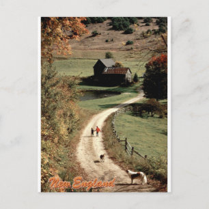 New-England-Herbst-Landstraße im Vintage-Look Postkarte