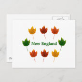 New England Herbstlaube Postkarte (Vorne/Hinten)