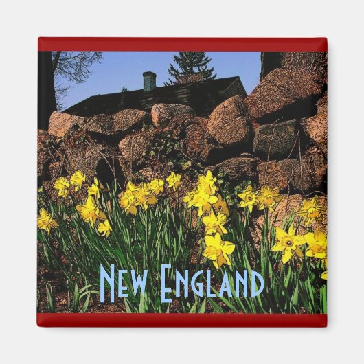 New England Magnet (Vorne)