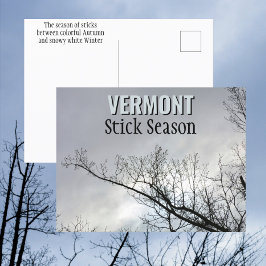 New England Stick Season Vermont Fotografy Postkarte
