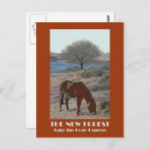 New Forest 1920er Jahre Retro-Postkarte Postkarte (Vorne/Hinten)