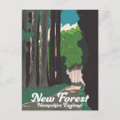 New forest Hampshire England Postkarte (Vorderseite)