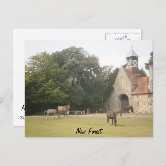 New Forest Hampshire Postkarte (Vorne/Hinten)