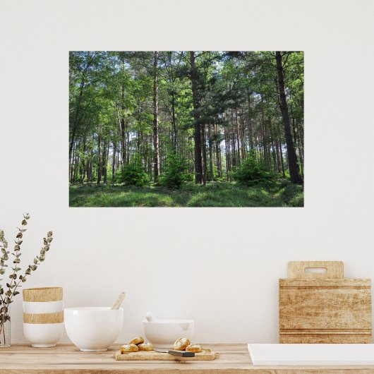 New Forest Landscape England Poster (Küche)