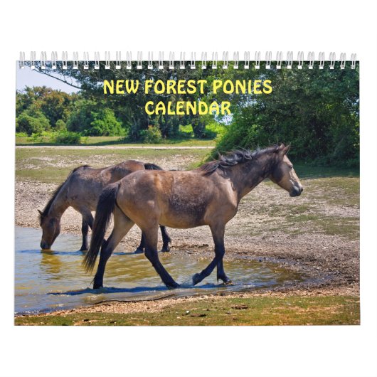 New Forest Ponies Calendar Kalender (Titelbild)