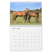 New Forest Ponies Calendar Kalender (Mär 2026)
