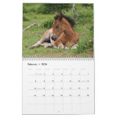 New Forest Ponies Calendar Kalender (Feb 2026)