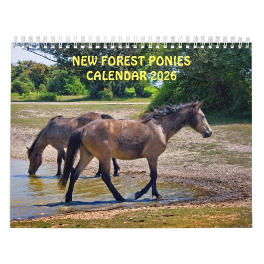 New Forest Ponies Calendar Kalender (Titelbild)