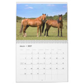 New Forest Ponies Calendar Kalender (Mär 2027)