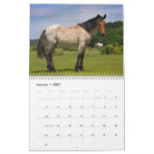 New Forest Ponies Calendar Kalender (Jan 2027)