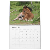 New Forest Ponies Calendar Kalender (Feb 2027)