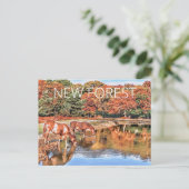 New Forest Ponies Postkarte (Stehend Vorderseite)