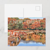 New Forest Ponies Postkarte (Vorne/Hinten)