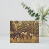 New Forest Ponies Postkarte (Stehend Vorderseite)