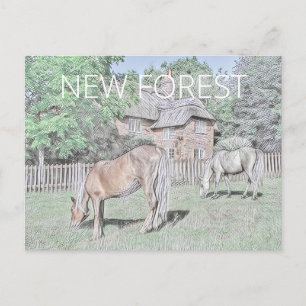New Forest Ponies Postkarte