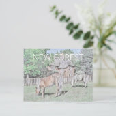 New Forest Ponies Postkarte (Stehend Vorderseite)