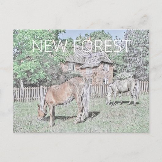 New Forest Ponies Postkarte (Vorderseite)