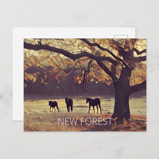 New Forest Ponies Postkarte (Vorne/Hinten)