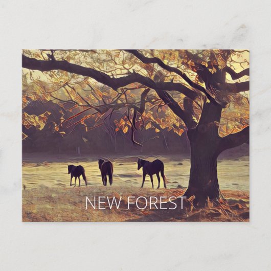 New Forest Ponies Postkarte (Vorderseite)